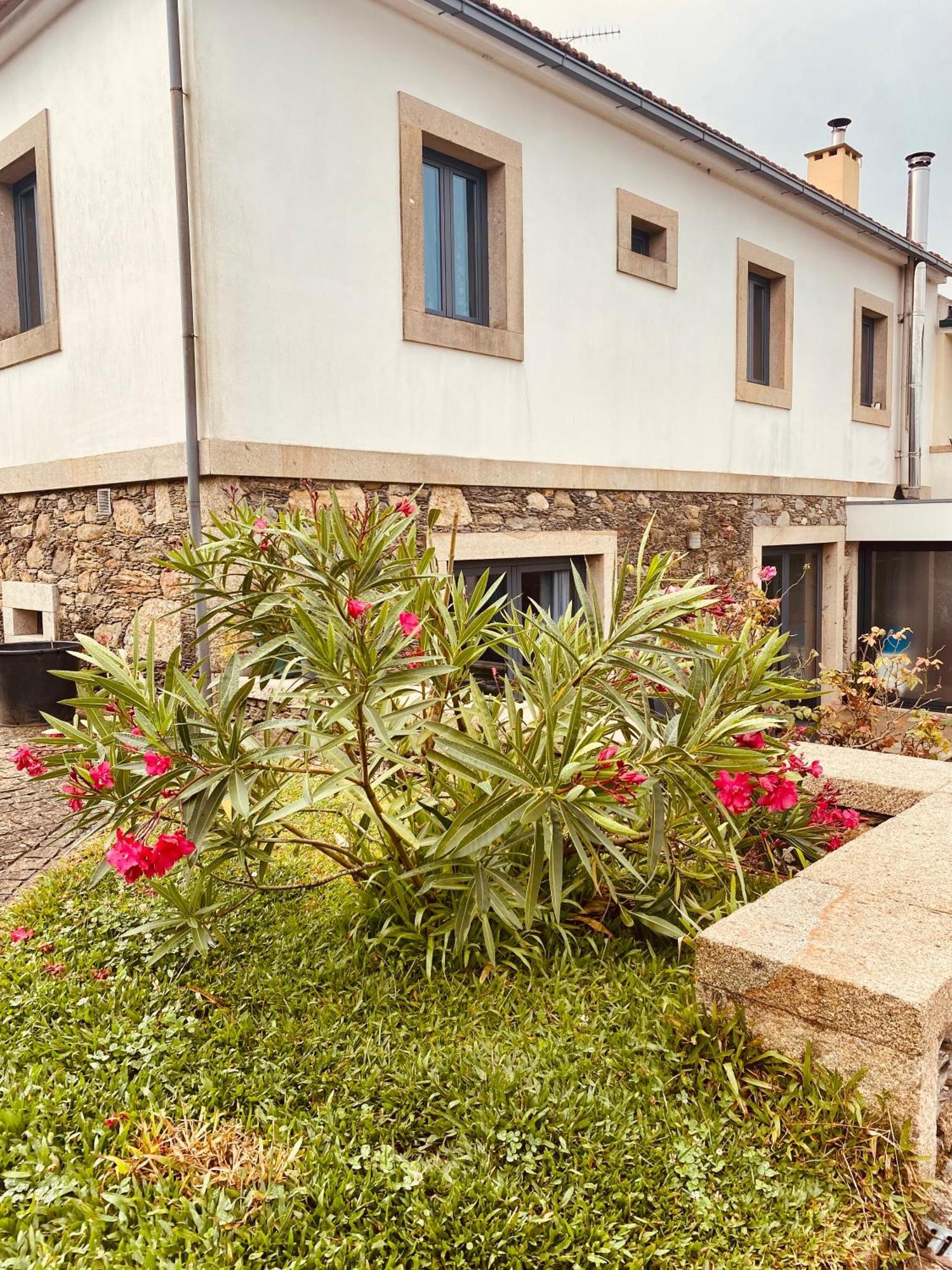Serra de Arga Mountain House Montaria Extérieur photo