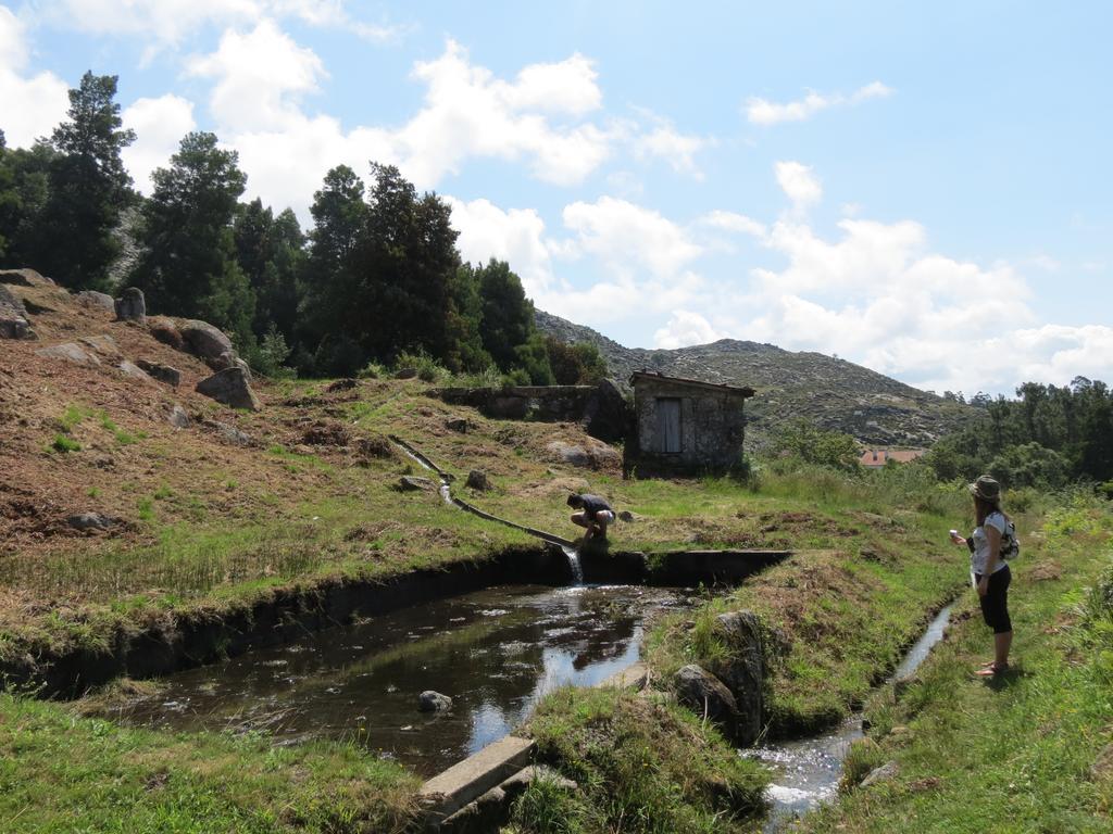 Serra de Arga Mountain House Montaria Extérieur photo